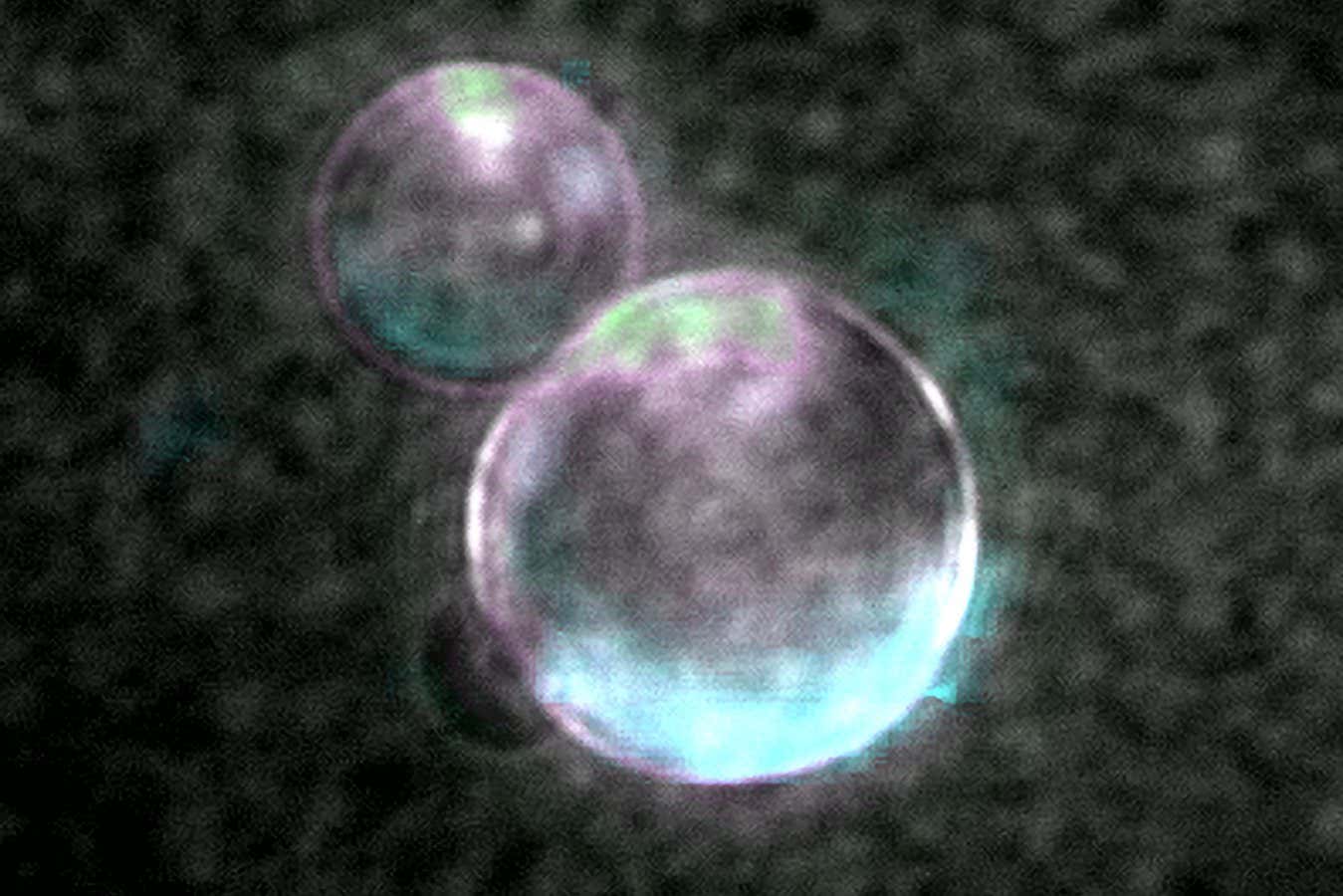 Have scientists really made a living cell from scratch? Not quite