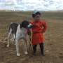The bond between humans and dogs remains remarkably consistent across societies, cross-cultural study reveals