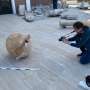 Sensor-embedded 3D-printed repairs could help preserve ancient pottery