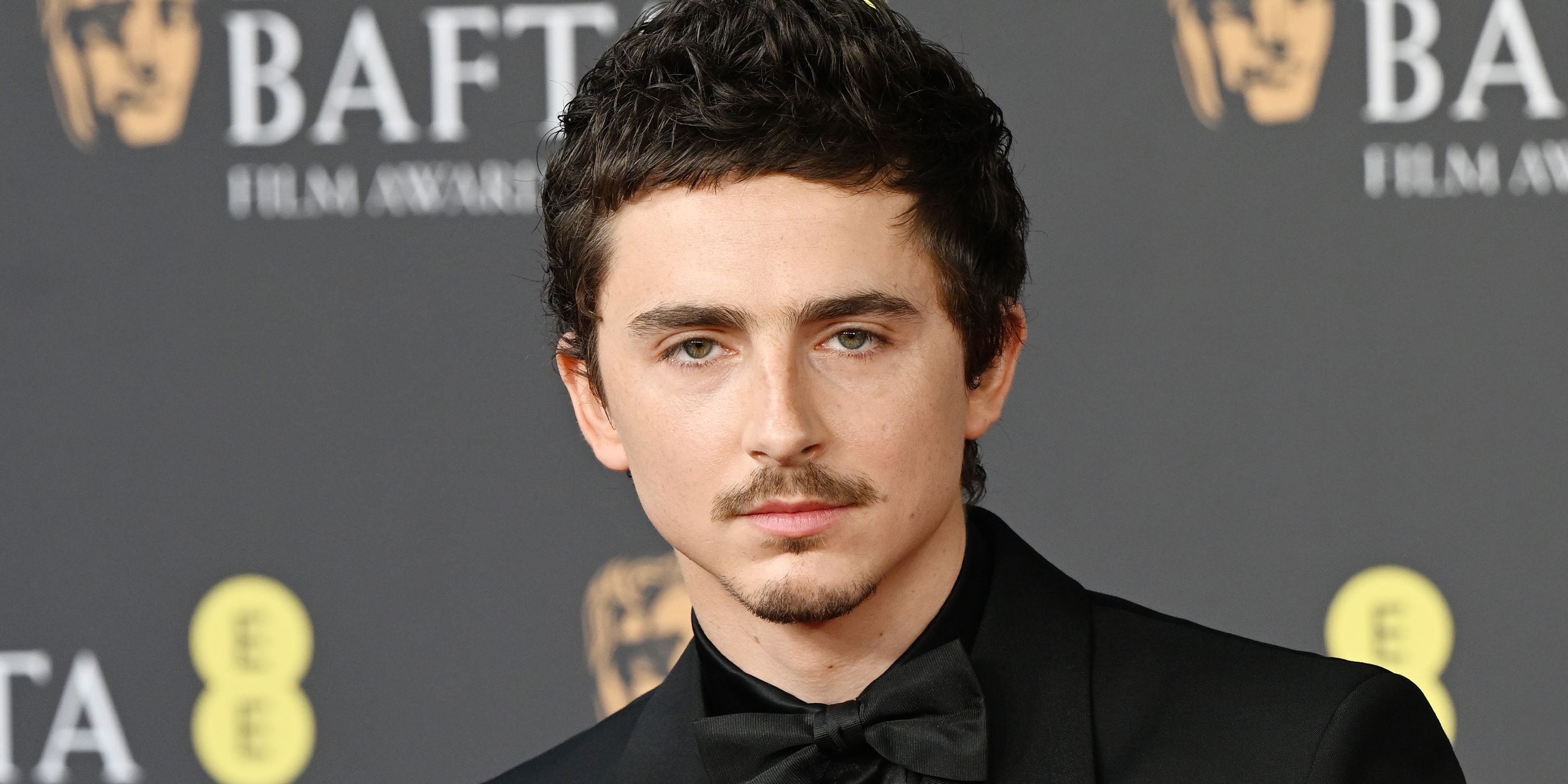 Timothée Chalamet’s Criminally Underrated Coming-of-Age Romance Is Finally Streaming Free