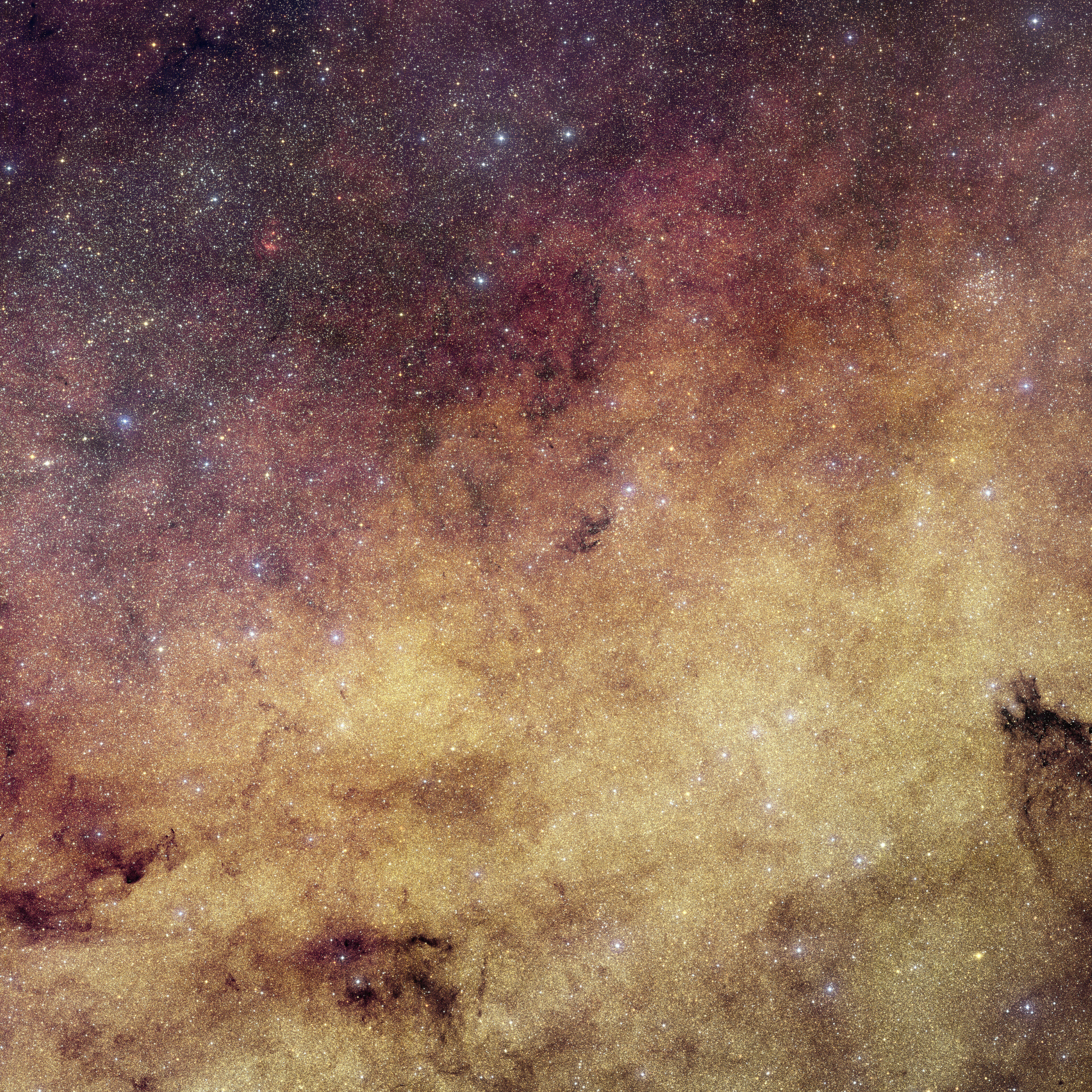 Euclid View of Milky Way Heart Previews Core Survey by NASA’s Roman